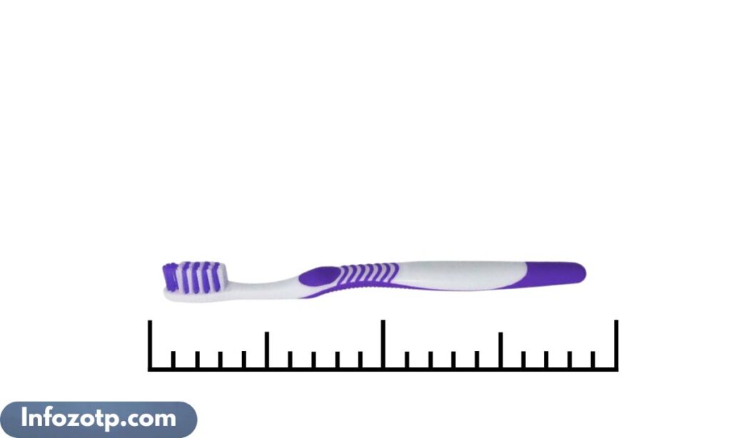 Adult Toothbrush