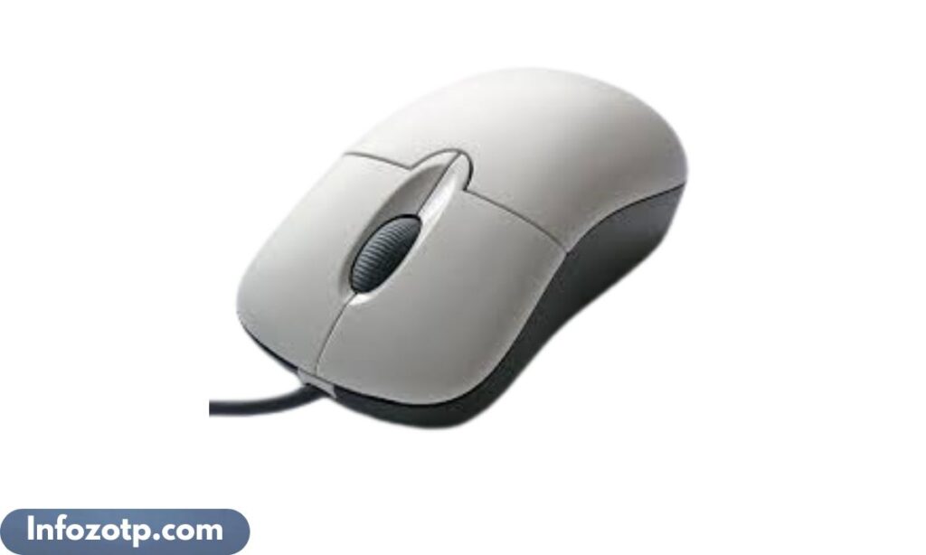 Computer Mouse Length