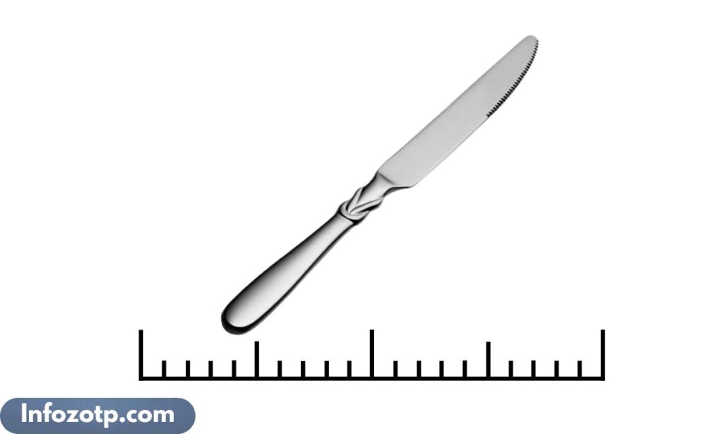 Dinner Knife