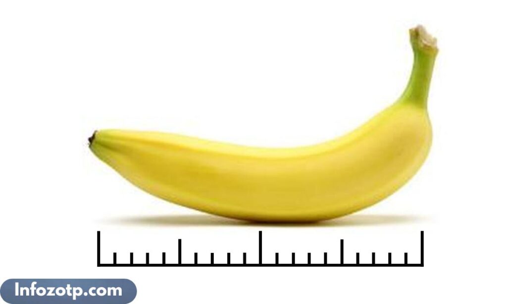 Medium Banana