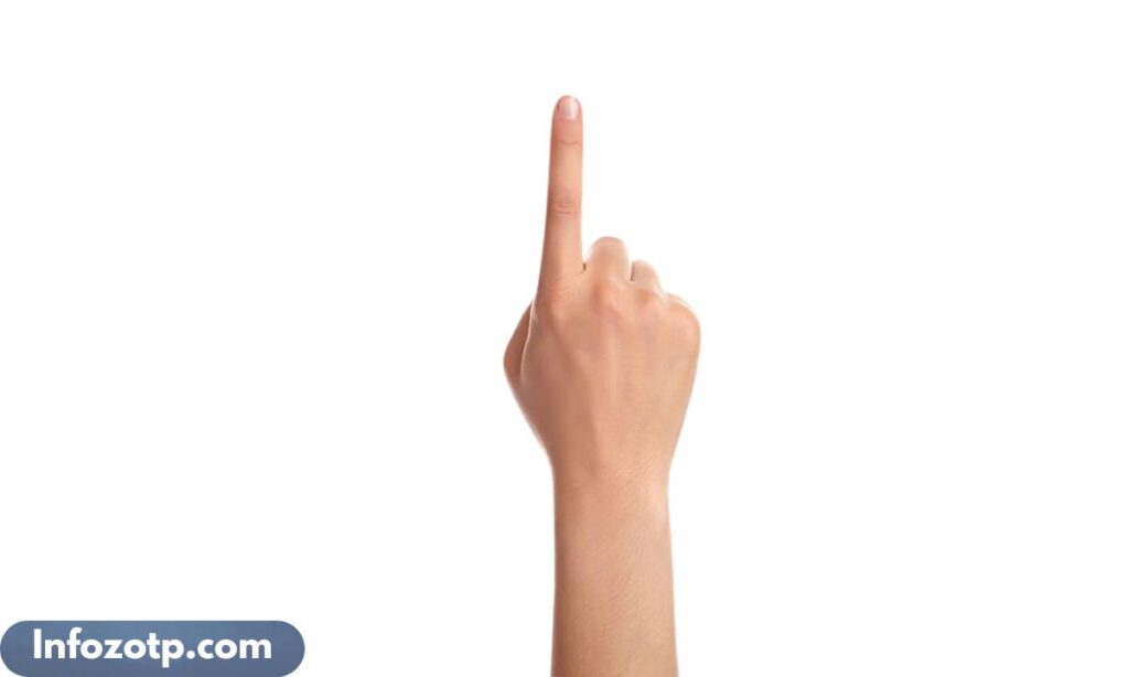The Length of an Average Index Finger