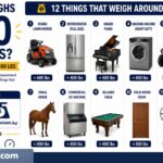 What Weighs 400 Pounds? Things That Weigh 400 Lbs